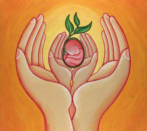 Fertility 35