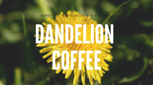 dandelion coffee
